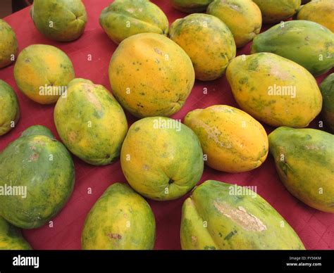Filas De Hawaiian Big Rip Papayas En Tela De Color Rojo En Un Mercado