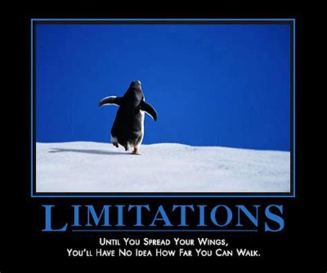 Limitations Demotivational Posters Demotivational Quotes Funny Pictures