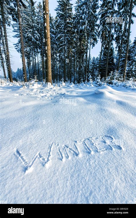 Forest With The Word Winter Written In Snow Stock Photo Alamy