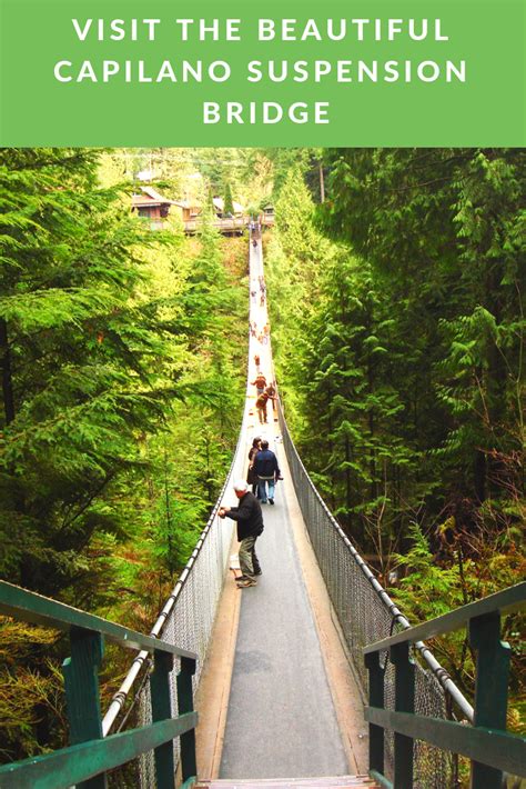 The Magical Forest That Is The Capilano Suspension Bridge Travel