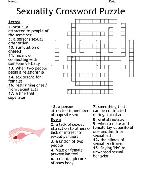 Sexuality Crossword Puzzle Wordmint