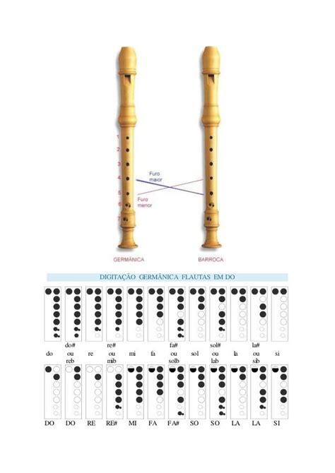 Tipos De Flauta