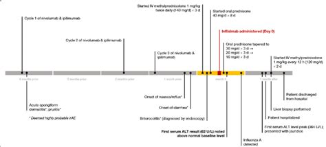 Chronology Of History Of Present Illness Delineating Key Points