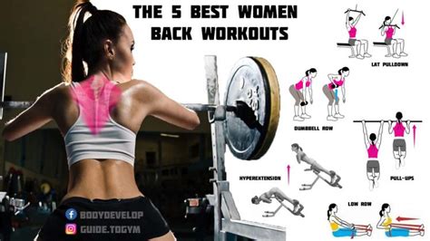 The 5 Best Back Muscle Workouts For Women Training Program