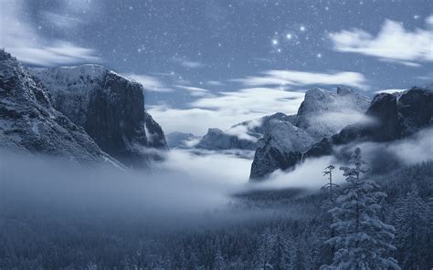 요세미티 국립 공원 산 나무 눈 겨울 안개 아침 750x1334 Iphone 8766s 배경 화면 그림 이미지