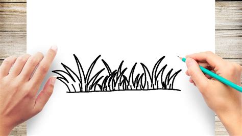 Simple Grass Drawing For Kids Grass Is A Supporting Actor Of The