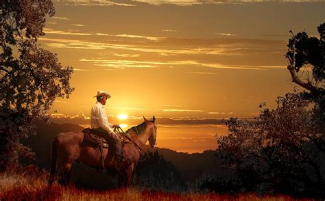 A Cowboy Riding On His Horse Into A Yellow Sunset Digital Art By Peter