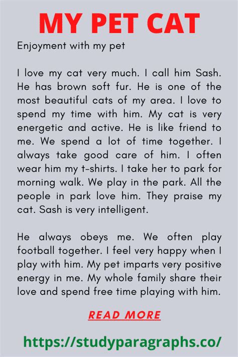 Read Best Paragraph On My Pet Cat For Students