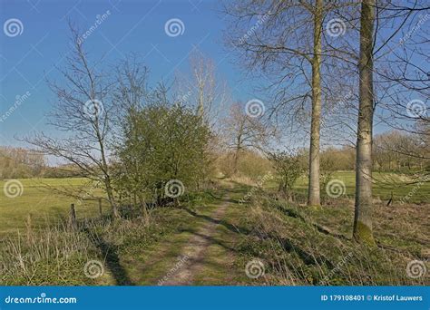 Path Along A Sunny Meadow With Trees In Scheldt Valley Flanders Stock