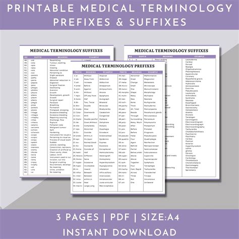 Medical Terminology Flashcardsmedical Terminology Prefixes And