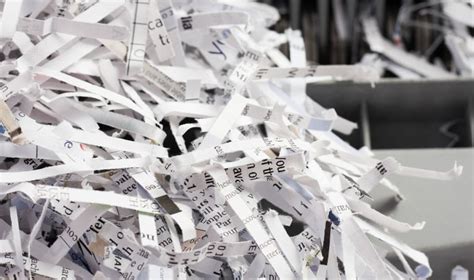 Best Paper Shredding Services To Use In 2023