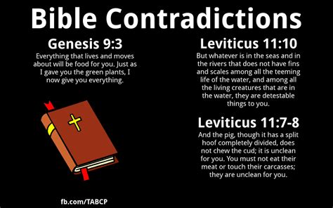 More Bible Contradictions Bible Contradictions Bible Contradiction