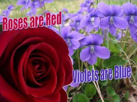 Sugar is sweetand so are you. ROSES ARE RED & VIOLETS ARE BLUE - YouTube