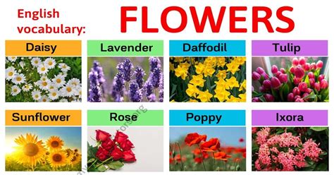 For that reason we need to keep our environment for having a healthly life. Types of Flowers: Learn Different Flower Names with The ...