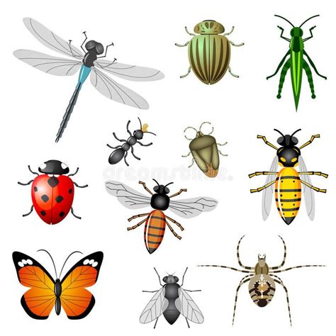 Insectes Et Anomalies Image Stock Image 18407761 Ravageurs Du