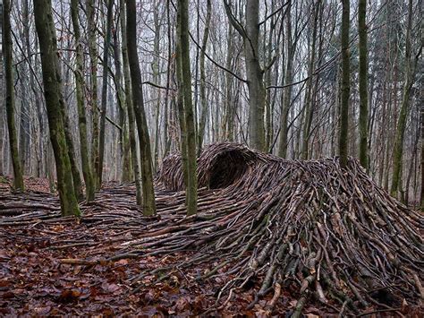 a german photographer builds 9 massive waves of deadwood in a forest near hamburg earth wonders