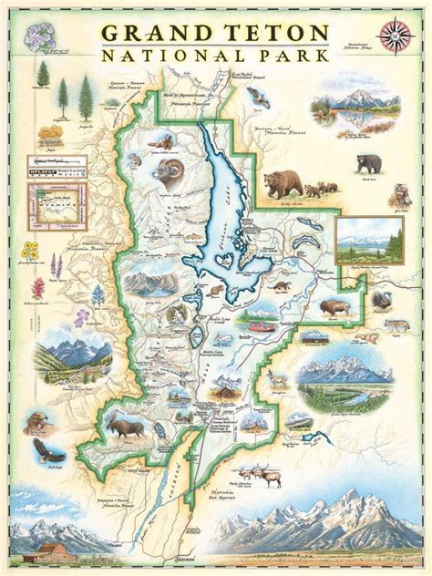 25 Perfect Ts For The National Park Adventurer Grand Teton