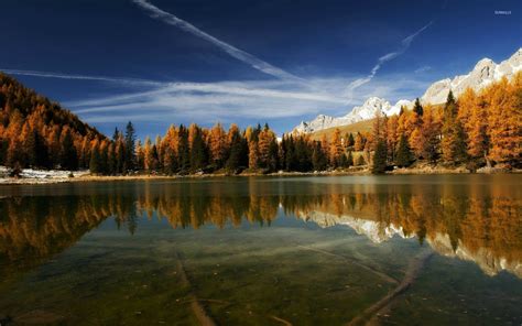 Clear Mountain Lake Reflecting The Trees Wallpaper Nature Wallpapers