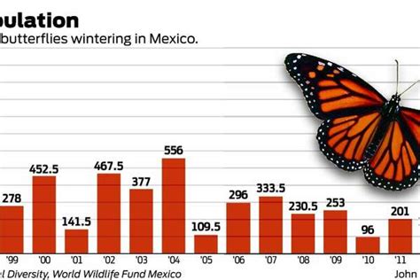 Monarch Butterfly Population Makes A Modest Rebound