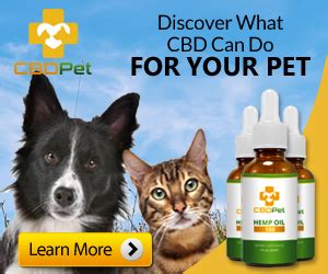 She's been on it for six months, and i can touch her, put a leash on and off. CBD for Pets: Can Dogs and Cats Benefit from CBD Oil ...