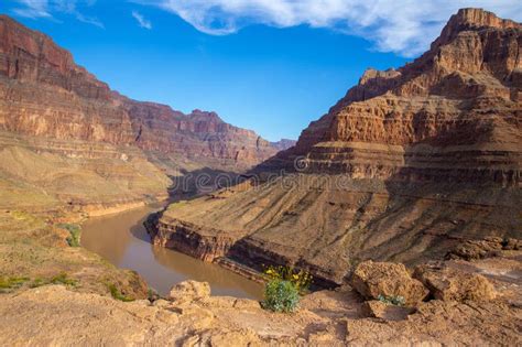 Bottom Of The Grand Canyon Stock Photo Image Of Formation 275369866