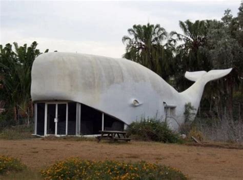 Ten Crazy And Amazing Buildings That Look Like Animals