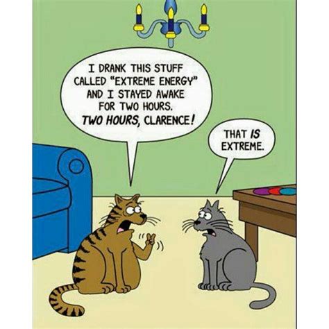 Pin By Kimberly On Cattin Around Cat Jokes Cartoon Jokes Funny Pictures
