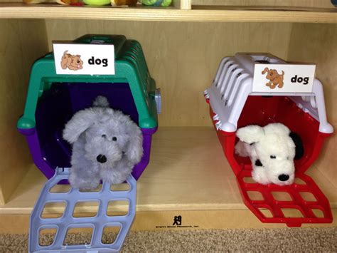 Creature comforts animal hospital 5741 sky pointe dr. The Thoughtful Spot Day Care: Animals of the Critter Clinic