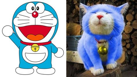 Doraemon Blue Cat