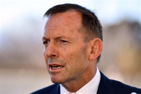 Tony abbott's jesuit and very, very catholic cabinet can expect plenty of (not so) subtle pressure on this, migration and other policy subjects. Former PM Tony Abbott responds to cabinet file accusations