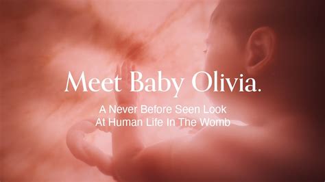 This Video Is The Most Realistic Animation Of A Baby Developing In The