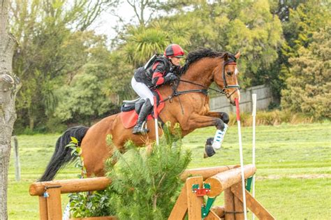 Official olympic documents and resources for reference and download. Eventing 2020 - 2021 Calendar & Schedules | ESNZ