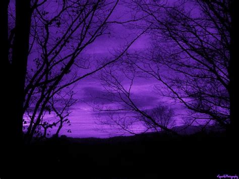 New Post On Recaption Purple Aesthetic Dark Purple Aesthetic Purple