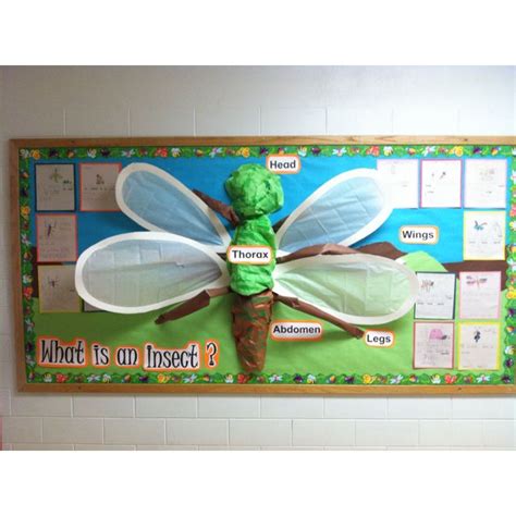 Insect Bulletin Board Murals Classroom Display And Wall Art Pinter