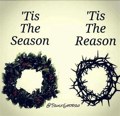 The Holly Wreath For Christmas Is Symbolic Of The Crown Of Thorns That
