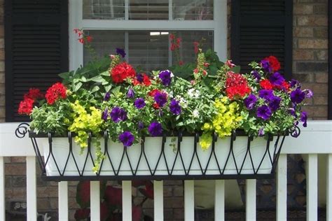 Flower Box Arrangements Summer Window And Balcony Decor Ideas