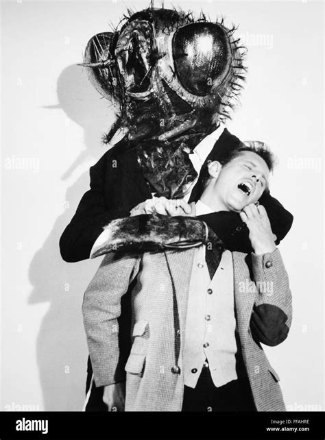 Film The Fly 1958 Nfilm Still From The Fly 1958 Stock Photo Alamy