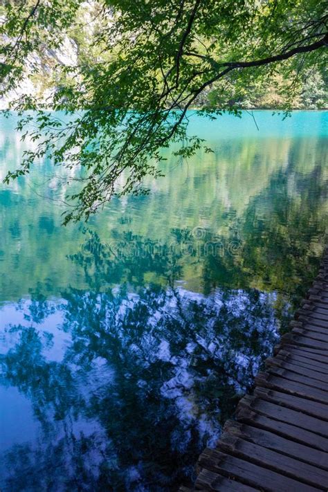 Turquoise Waters Of Plitvice Lakes National Park In Croatia Stock Image