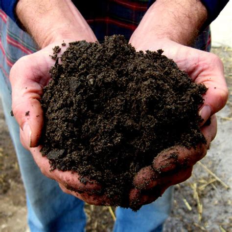 Soil, Kalamazoo, Topsoil, Renewed Earth, Garden, Yard