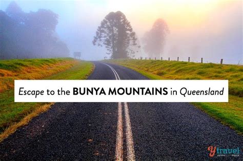 A Lovely Weekend Getaway To The Bunya Mountains