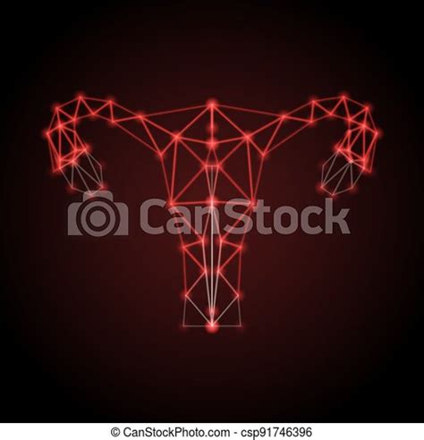 Uterus With Ovary Cervix Fallopian Tubes Isolated On Background