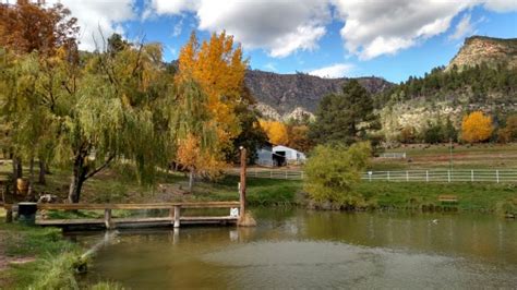Choose from more than 253 properties, ideal house rentals for families, groups and couples. Mountain Ridge Cabins | A serene retreat in the cool pines ...