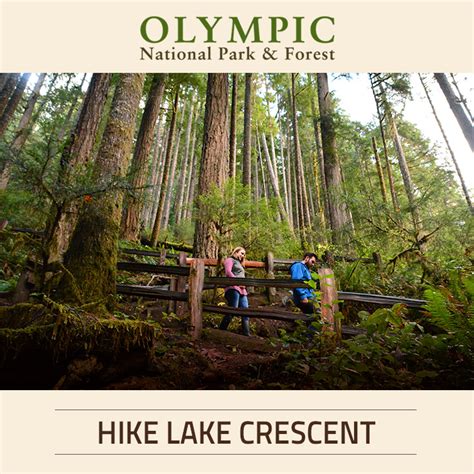 Hiking At Lake Crescent Lodge Olympic National Park And Forest