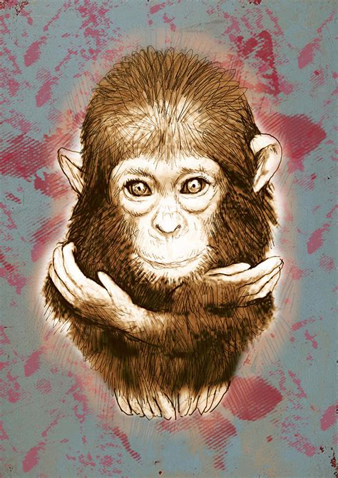 Baby Monkey Stylised Drawing Art Poster Drawing By Kim Wang