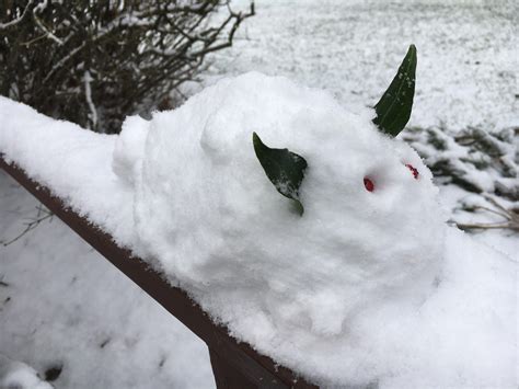 Its Snowing Where I Live Today So I Made A Snow Bunny Theyre Called