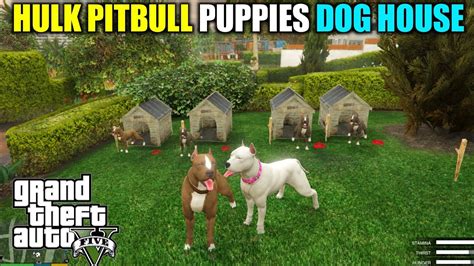 Gta 5 Dog House For All Hulk Pitbull Puppies In Gta 5 Mods Youtube