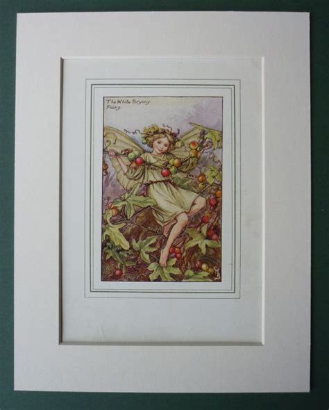 The White Bryony Fairy By Cicely Mary Barker 1926 Print Etsy Uk