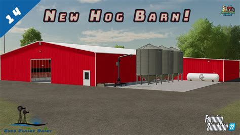 Buying A Hog Barn Blue Plains Dairy Shellbrook Sk Fs Youtube