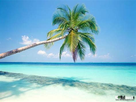 Free Download Beautiful Beach Widescreen High Resolution Wallpaper For