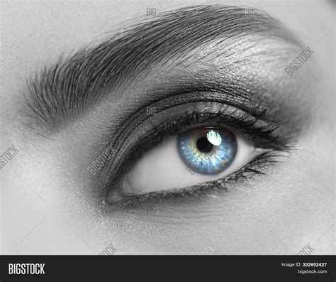 Beautiful Woman Eye Image Photo Free Trial Bigstock